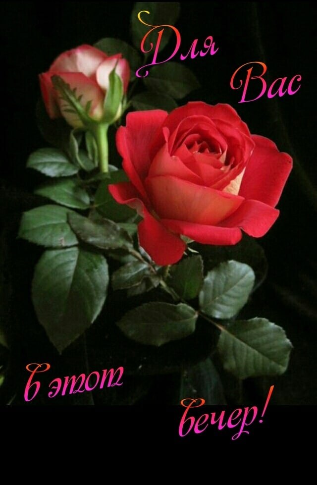   ,    . - 8  2021  18:36 - 5