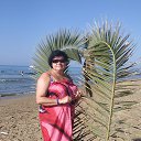 ���� �����, �����-��������� - ��������� 7 ������ 2020 � ������ ���� ����������