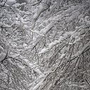 ���� Alexander, �����-���������, 70 ��� - ��������� 9 ������� 2021 � ������ ������ ��������