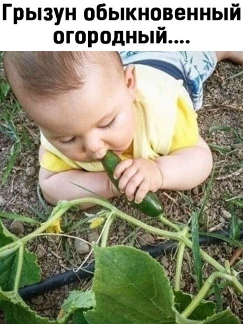 a  a  a