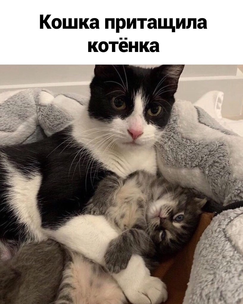    - 2