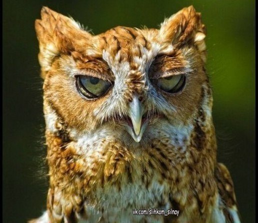 �������� �������, ����� ��� ��������� ���� ��������������. ����� ��������: 