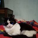 ���� Alexandr, ����������, 49 ��� - ��������� 24 ������� 2021 � ������ ���� ����������