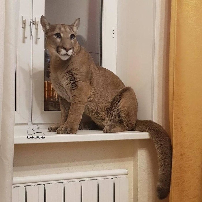 ,  !            ... - 7