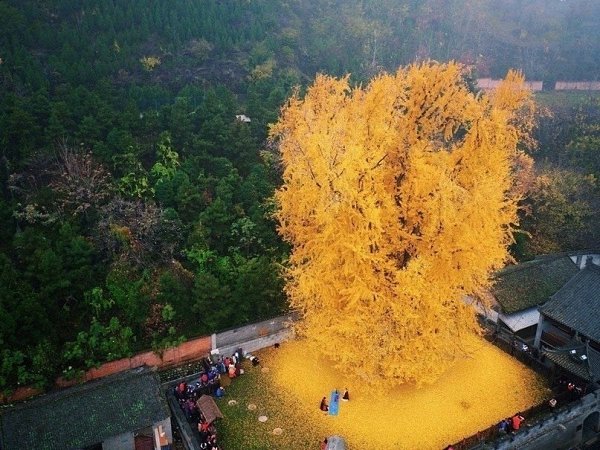 1400-eee eeo o aa  oae oo o eo a ee aa oo ... - 5