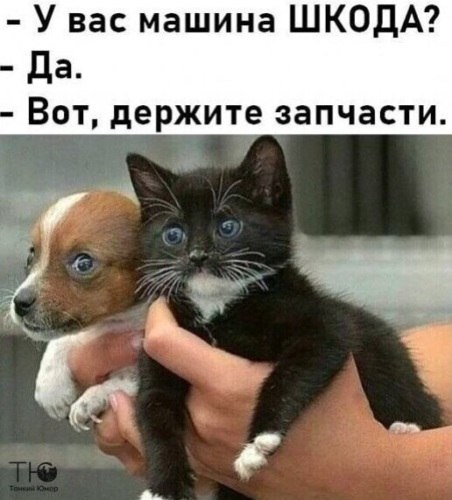   ! - 23  2020  13:43