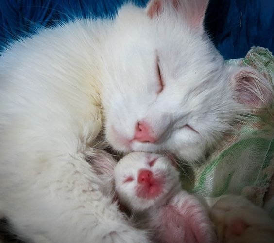      :3 - 5