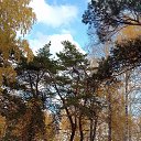 ���� �����, ������, 48 ��� - ��������� 3 ������� 2020 � ������ ������ 2020�