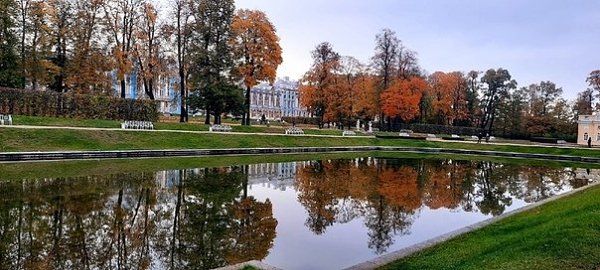 Золотая осень в Пушкине. Делитесь вашими фотографиями осени! Фото: Света Светлана - 2