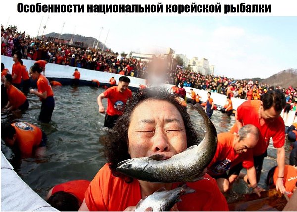 Фестиваль форели на реке в Хвачхон, Южная Корея. Этот зимний праздник длится весь январь. Главным ...