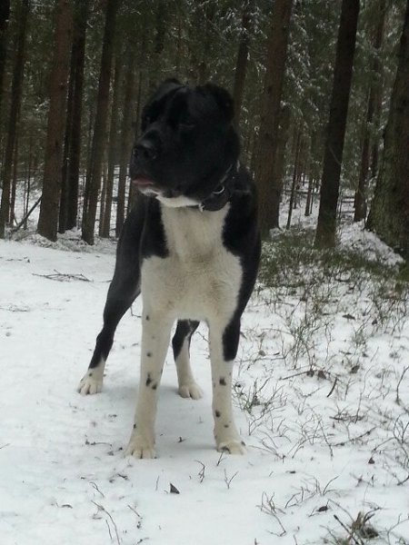 ������� - 16 ������� 2020 � 09:58