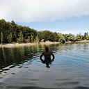 ���� ����, �����������, 51 ��� - ��������� 15 ������� 2020 � ������ ���� ����������