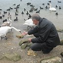 ���� ��������, �����������, 62 ���� - ��������� 30 ������� 2020