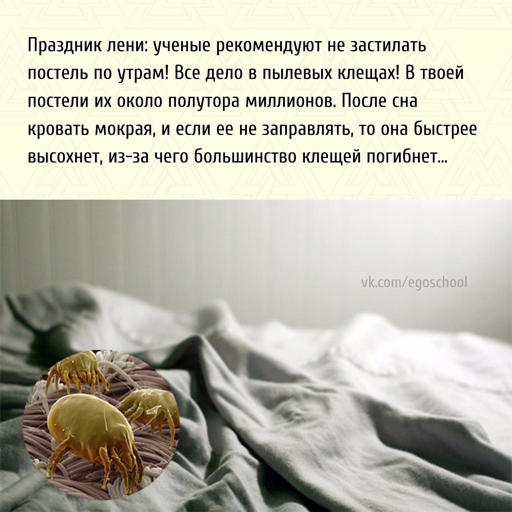  | ,  - 5  2021  19:24