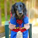 ���� ������, ������������ - ��������� 24 �������� 2020 � ������ ���� � ���