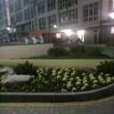 ���� �������, ��������� - ��������� 2 ������� 2021 � ������ ���� ����������