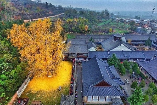 1400-eee eeo o aa  oae oo o eo a ee aa oo ... - 4