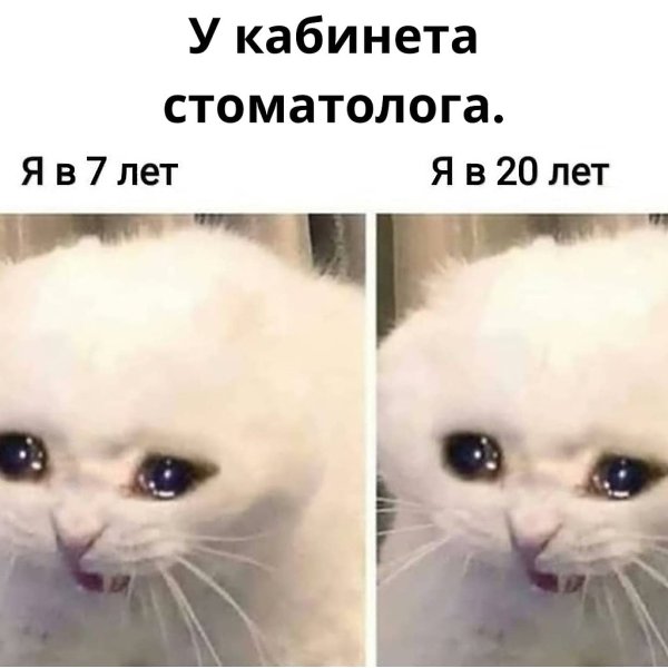   ,    .