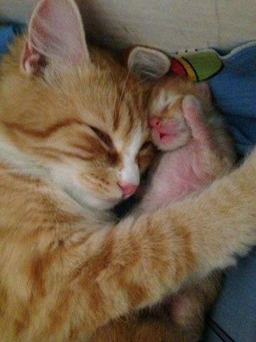      :3 - 4