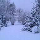 ����� �� ������� � ���� ���� ����...������� 2021 ����.