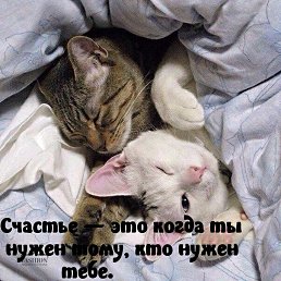 ���� �������, �����, 46 ��� - ��������� 13 ������� 2021