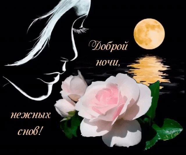   ,    . - 17  2020  22:37