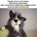 ���� ������, ������ ����� - ��������� 27 ������ 2020