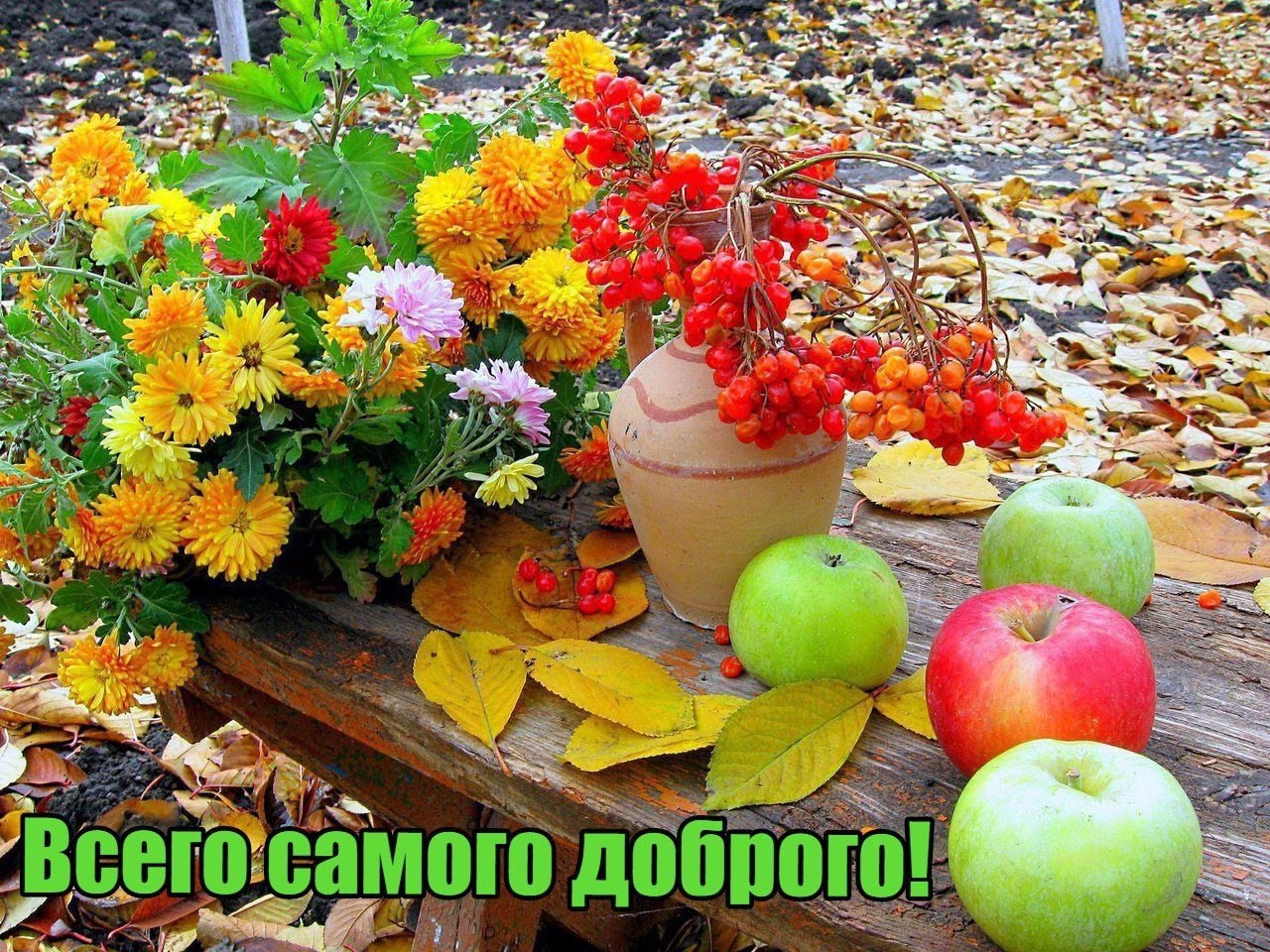 Конец лета чем закончился. Осенние цветы. Осенний сад. Яркие осенние цветы. Осенний букет.