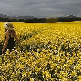 ������, ������, 35 ���