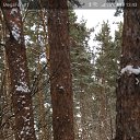 ���� ���������, �������, 65 ��� - ��������� 15 ������ 2021 � ������ ���� ����������