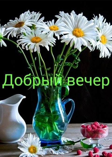   ,    . - 23  2021  17:08