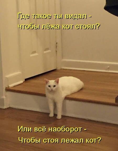    - 7  2021  11:18