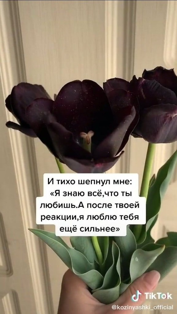 ��� ��� ��������� ������ - 9