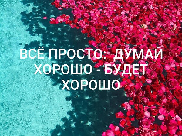   - 29  2020  00:51