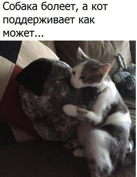    - 2  2020  20:45