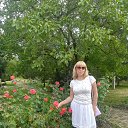 ���� �������, ������ ����� - ��������� 27 �������� 2020 � ������ ���� ����������
