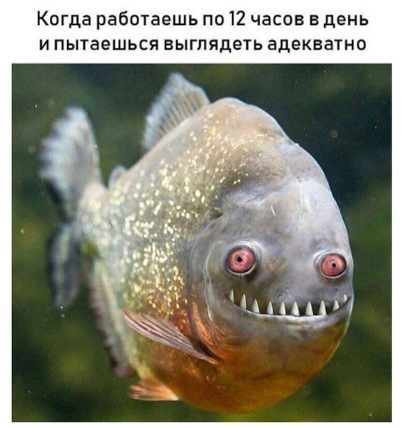   - 25  2020  21:57
