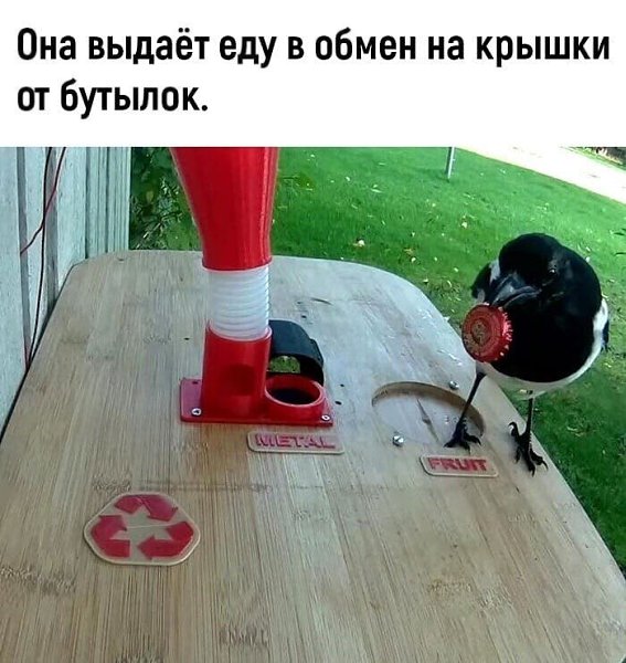 a o  p e!) - 2