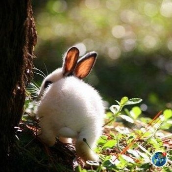 eca...acaee pacoo! oe  ec oaac ceac?  - 5