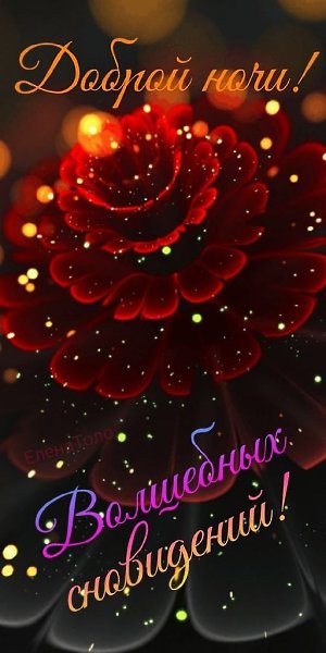   ,    . - 6  2021  21:37 - 2