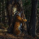 ���� �����, ��� - ��������� 15 ������� 2020 � ������ ���� ����������