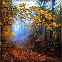 ���� �������, ������, 68 ��� - ��������� 11 ������� 2020 � ������ ������ ��������