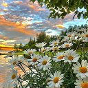 ���� ����, ���������, 61 ��� - ��������� 22 ����� 2021 � ������ ������ ��������