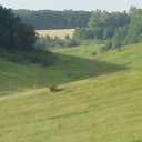 ���� ��������, �����-���������, 53 ���� - ��������� 3 ������� 2020 � ������ ���� ����������