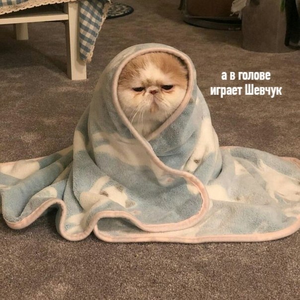  : - 3