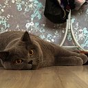 ���� ������ �� ���!, ������ - ��������� 25 ����� 2021 � ������ ������ ��������