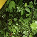 ���� ����, ����, 30 ��� - ��������� 25 ������� 2020 � ������ ���� ����������