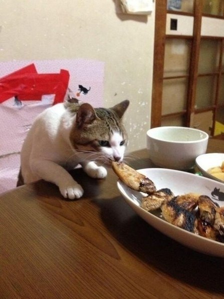 Koгдa я нa диeтe... |Пpaвильнoe питaниe| Бyдь в фopмe - 3