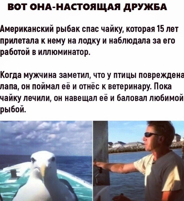 LIFE -  - 4  2020  19:02
