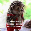 ���� ���, ������, 52 ���� - ��������� 22 ������� 2020 � ������ �������